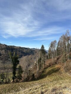 Foto von Minu170 entlang der Tour