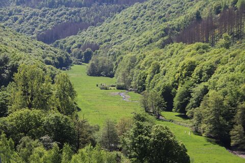Zdjęcie z Günter Kleutsch wzdłuż trasy
