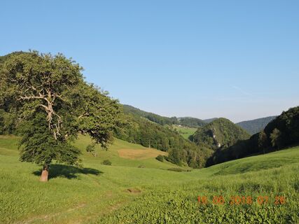 Neuhausberg