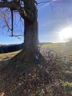 Fotografie z Sven Krieblin na trase