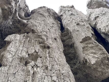 Fotografija s spletne strani Zsolt Kunszt na poti