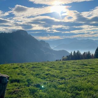 L1 Hochbuchberg Trail