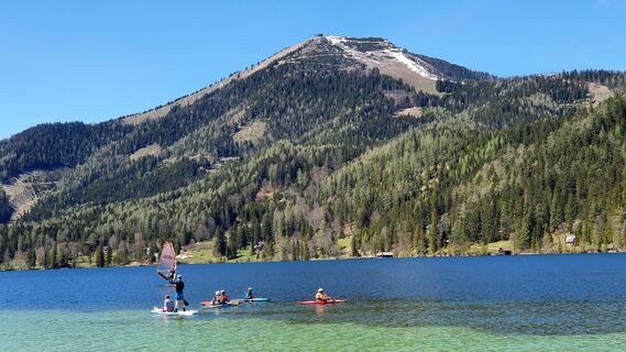 4.6 km Terzerhaus auf der Gemeindealpe