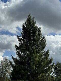 Foto von Ronald Bartel entlang der Tour