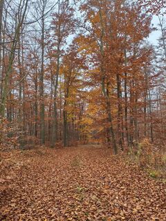 Fotografia z Fredi Oppel na trase