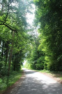 Idyllischer Wanderweg Richtung Brunnhausen
