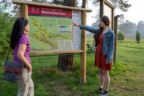 Informationstafel am Wacholderhain