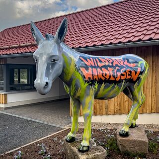 Eingang - Wildpark Hardegsen