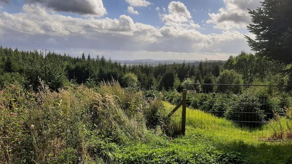 Fotografia z Georg Meisterjahn na trase