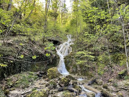 Fotografia z Francis Ebert na trase