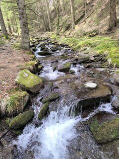 Foto van Ildikó Dávidné Nagy langs de tour