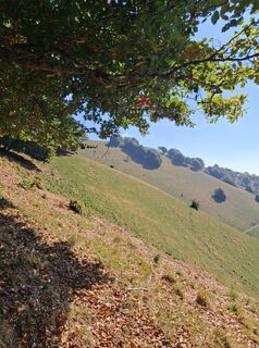 Photo de giorgio franchi le long du parcours