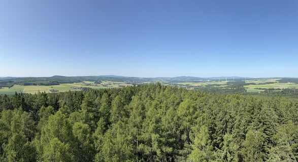 Photo de Norbert Herbig le long du parcours