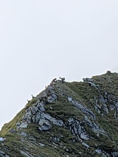 Foto von Rene 16 entlang der Tour