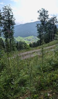 Photo de Peter Ludikovsky le long du parcours