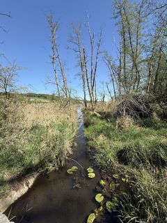 Photo de Babajo le long du parcours
