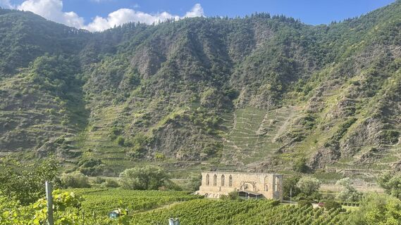 Photo de Lis Malzach le long du parcours