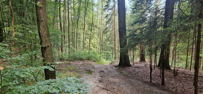 Foto de Ronny Kalusa a lo largo del recorrido