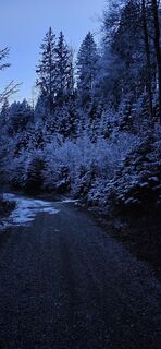 Photo de Srečko Lašič le long du parcours