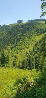 Fotografija s spletne strani mike wm na poti