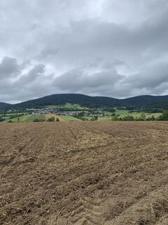 Photo de Bachinger Manfred le long du parcours