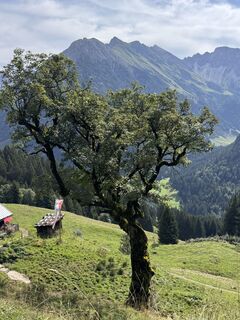 Photo de UliRx le long du parcours