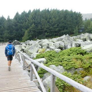 Moraine-Brücke, Vitosha, Sofia