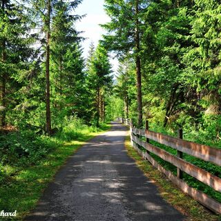 Die Gartlrunde kann durch besondere landschaftliche Schönheit und Ruhe punkten