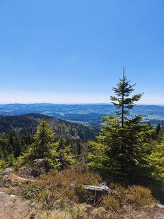 Fotografija s spletne strani Doris na poti