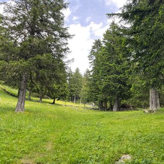 Horumattewald