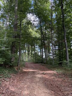 Foto de Nicole Versporten a lo largo del recorrido