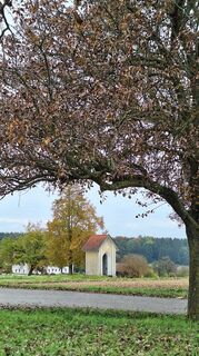 Foto de HeleneEcker a lo largo del recorrido