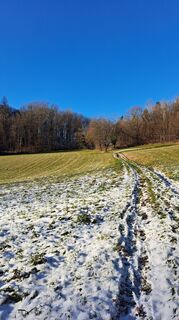 Photo de monika pomahac 1 le long du parcours