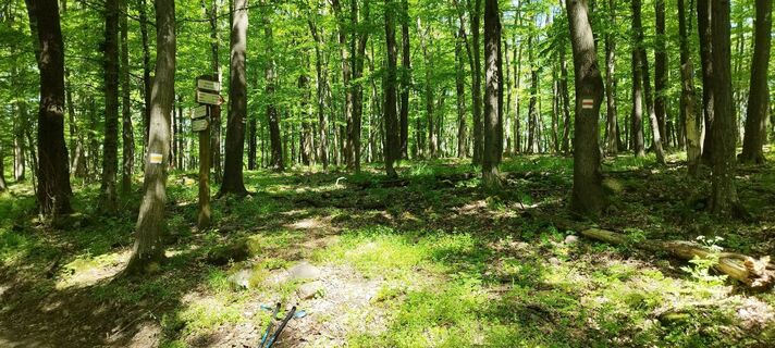 Foto von Csaba Kun entlang der Tour