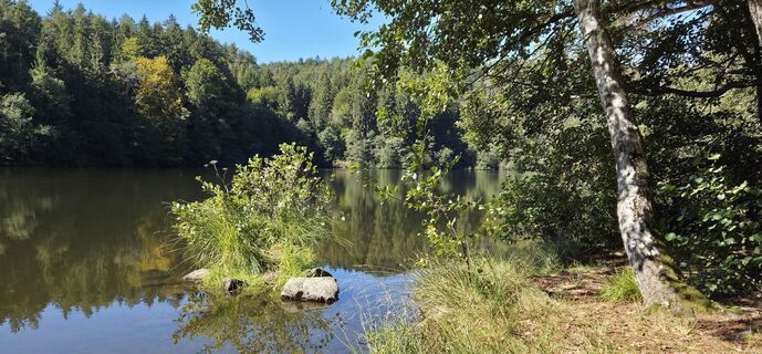 Foto von Reinhard R entlang der Tour