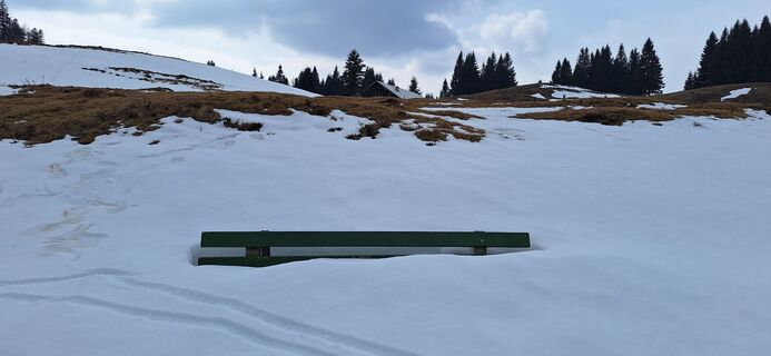 Fotografia z Deutsch Margit na trase