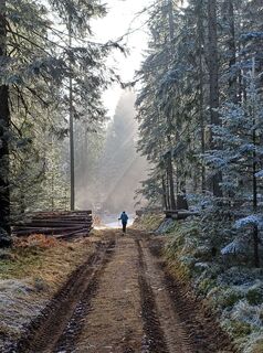 Foto de Heimo widmoser a lo largo del recorrido
