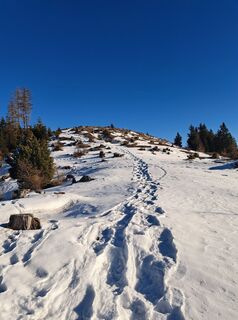 Fotografija s spletne strani Daniela König 1 na poti