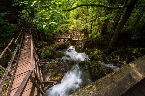 Myrafälle Muggendorf