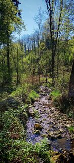 Foto von ReginaSt entlang der Tour