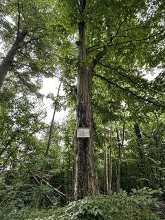 Foto von Sara B entlang der Tour