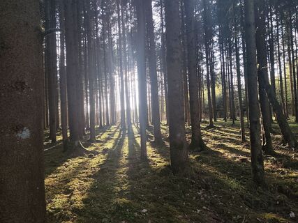 Foto von Tanja Eisenknapp entlang der Tour