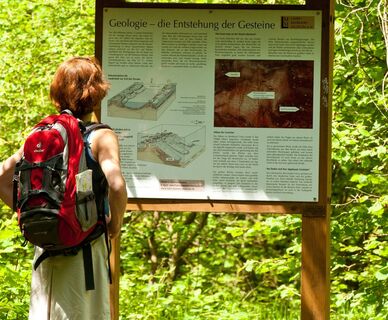 Die Geologie des Lahnmarmors