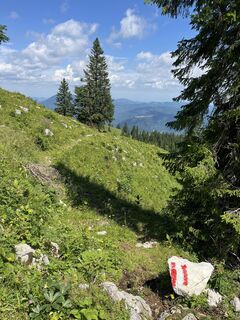 Fotografija s spletne strani Helmut Wieseneder na poti