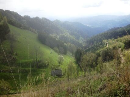 Prantner Alm, Richtung Rettengraben
