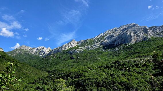 Fotografija s spletne strani Danijel Sorola na poti