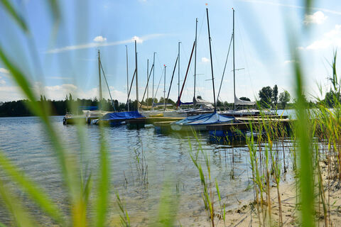 Segelboote am Tankumsee