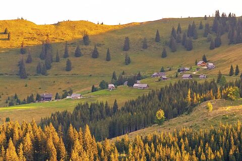 Turnauer Alm