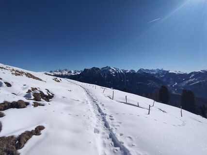 Fotografija s spletne strani Daniele Bertorelle na poti