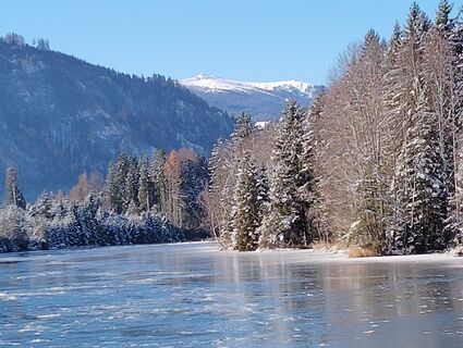 Fotografia z Albert Grillitsch na trase